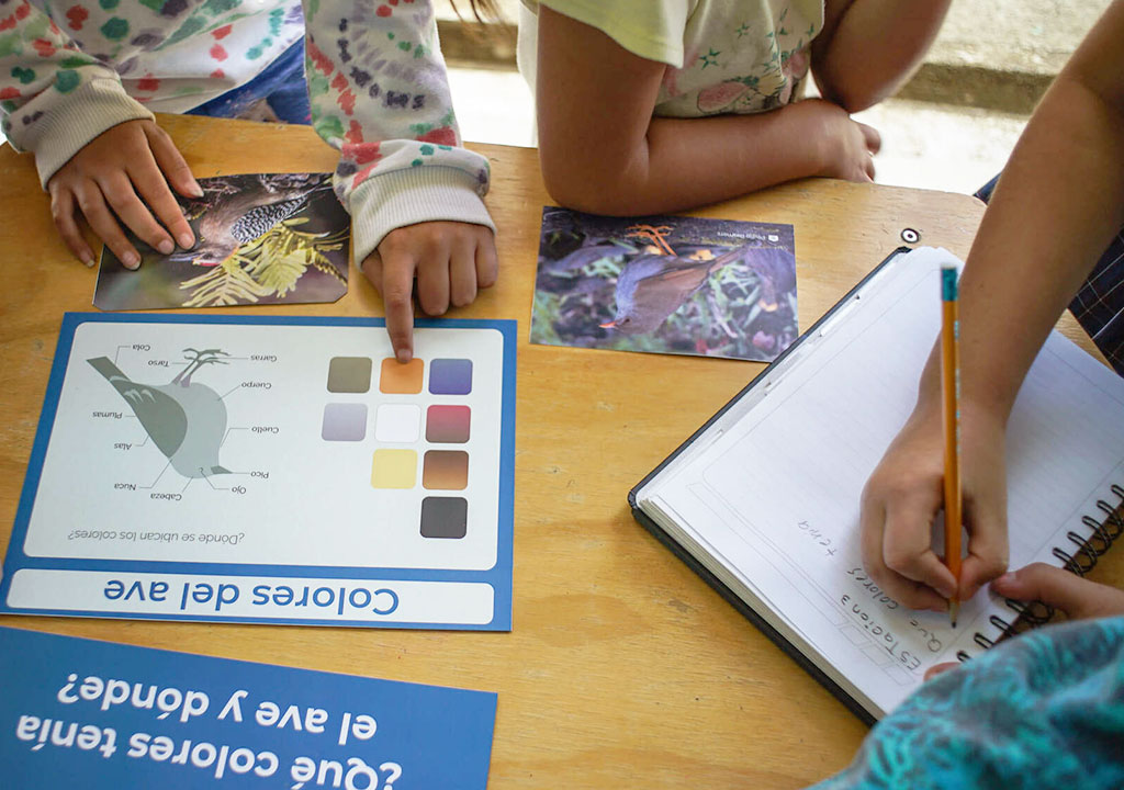 Niños y Niñas aprendiendo a identificar aves en Jardín, Colombia.